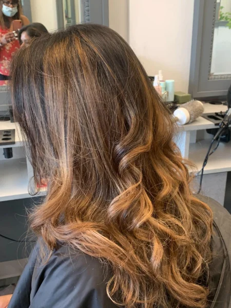 Color and Cut