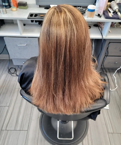 Color, Cut, and Style